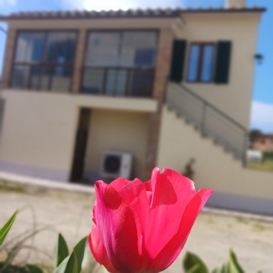 Casa Di Zio Villa Monticiano Exterior foto